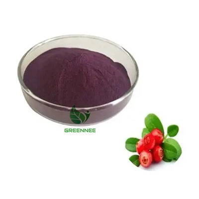 Organiczny ekstrakt z owoców żurawiny Sok żurawinowy w proszku Żurawina w proszku