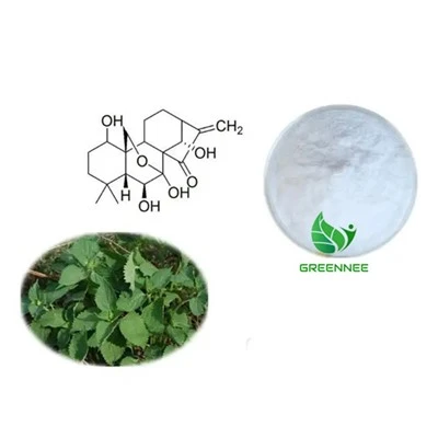 Oridonina 98% CAS 82854-37-3